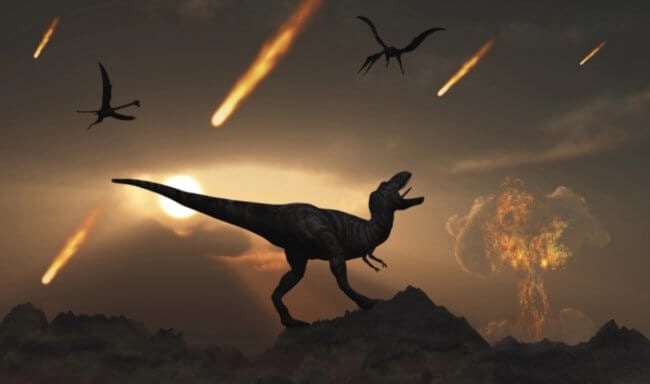 Какие травмы получили динозавры и другие животные после падения астероида? Фото.