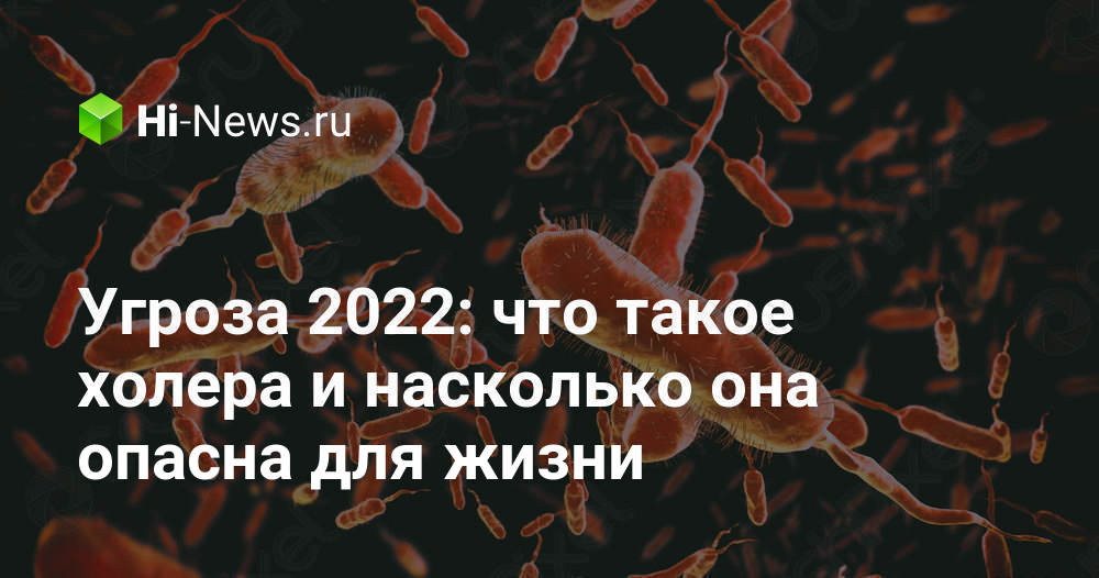 Заражение воды холерой в россии 2024. Холера инфекционные болезни.