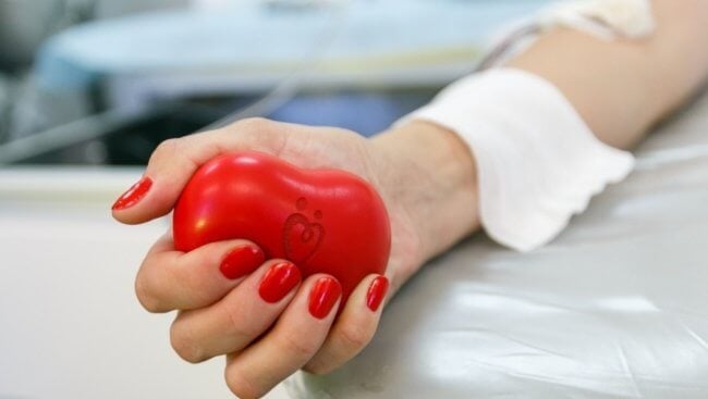 Донорство крови помогает очиститься от «вечных химикатов». Фото.