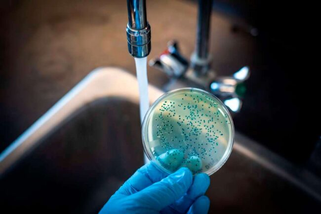 Холера поддается лечению, а вакцинация предотвращает заражение. Фото.