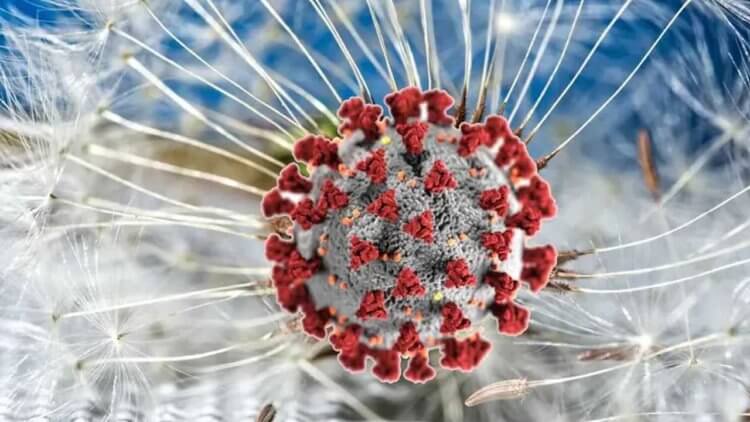 Мутация за мутацией. У каждого нового штамма коронавируса гораздо меньше шансов преодолеть иммунитет, чем у предыдущих. Фото.