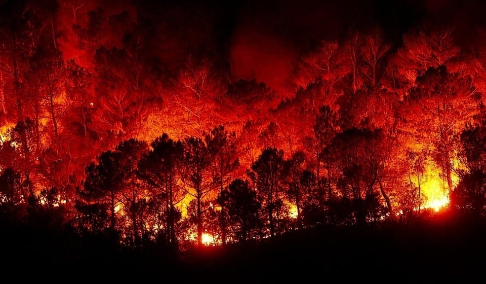Будут ли в 2022 году серьезные лесные пожары?