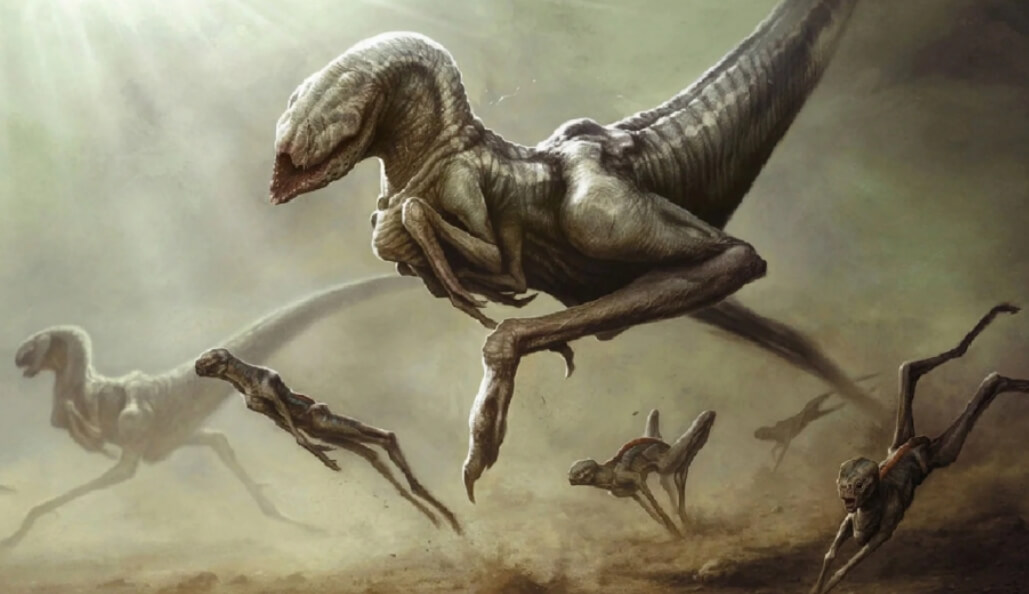 На других планетах могут жить примитивные животные. Фото.