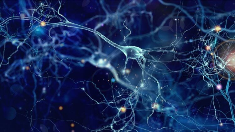 Мозг обрабатывает информацию двумя способами? Согласно традиционной модели, для обработки информации нейроны обмениваются между собой импульсами. Фото.