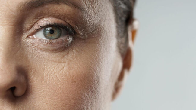 Нет человека, который не задумывался бы о старости, о смерти. Фото.