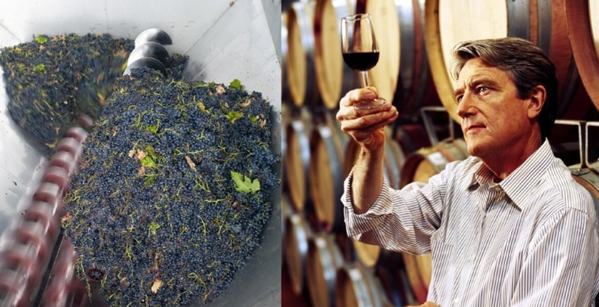 Профессия энолог. Считается, что чем больше лет вину, тем оно вкуснее. Как насчет 2000-летнего напитка? Фото.