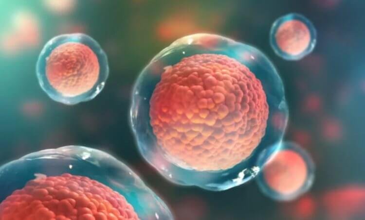 Ученые омолодили клетки человека на 30 лет. Как такое возможно?