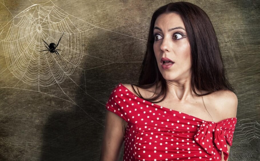 Пауки боятся нас не меньше, чем мы их. Фото.