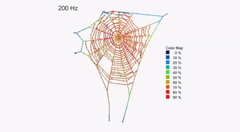 Паутины могут играть роль огромных слуховых аппаратов для членистоногих. Фото.