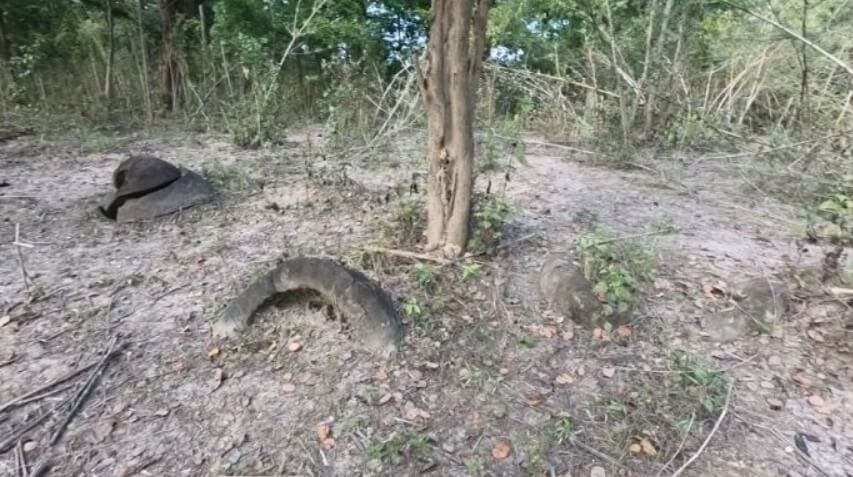 Древние кувшины в Ассаме. Древние кувшины, найденные в Таймодхолинге. Фото.