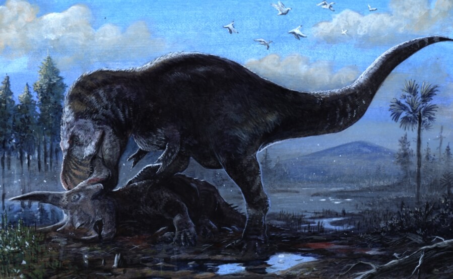 Возможно, короткие лапки были нужны во время охоты. Фото.