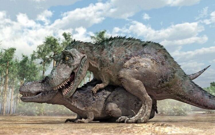 Для чего тираннозаврам короткие лапы? Спаривание тираннозавров. Фото.