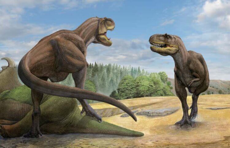 Лапы тираннозавров укоротились в ходе эволюции. Тираннозавры могли часто сражаться за добычу. Фото.