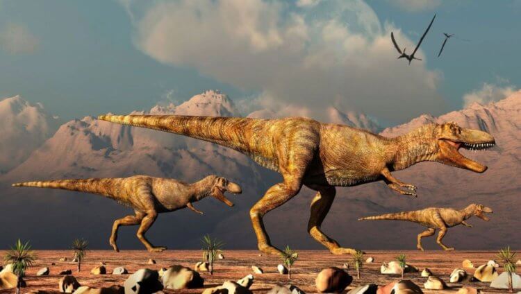 Лапы тираннозавров укоротились в ходе эволюции. Есть причины предполагать, что некоторые тираннозавры вели стадный образ жизни. Фото.
