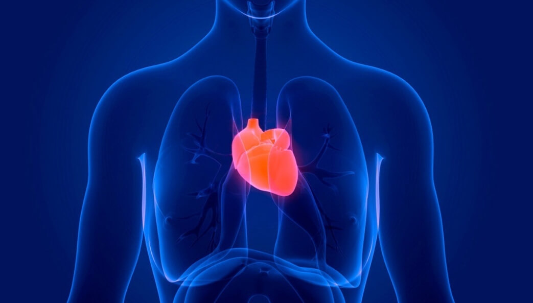 Есть веские основания предполагать, что вейпинг вредит работе сердца. Фото.