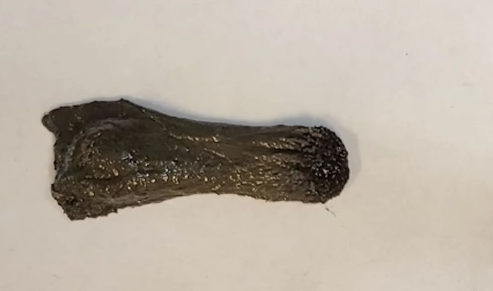 На данный момент гибкий робот выглядит не очень привлекательно. Фото.