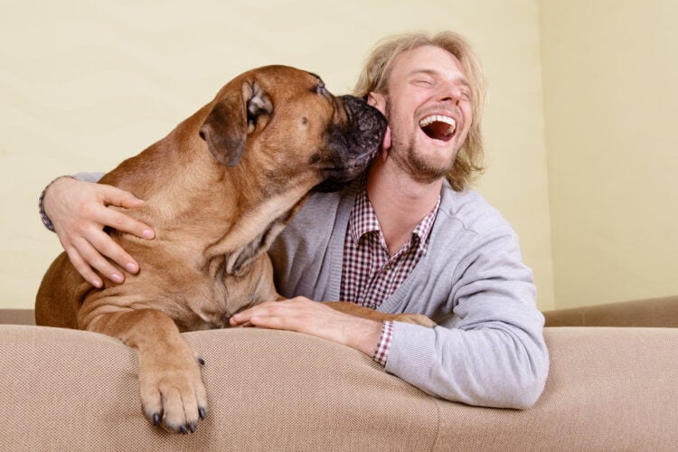 Как определить характер породы собак. Любовь собак к людям может передаваться по наследству. Фото.