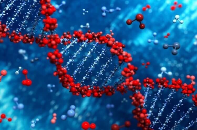 Как возникла жизнь на Земле: раскрыт секрет появления белков в мире РНК