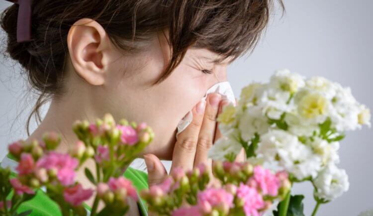 Причины возникновения весенней аллергии и способы ее лечения