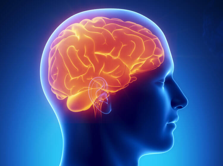 Тяга к курению — какие области мозга за нее отвечают. Ученые исследовали мозг курильщиков, у которых когда-либо была травма головы. Фото.