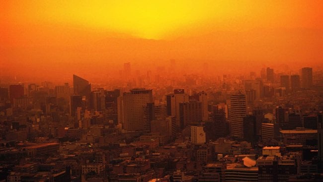 Огненное лето 2022: как пережить экстремальную жару