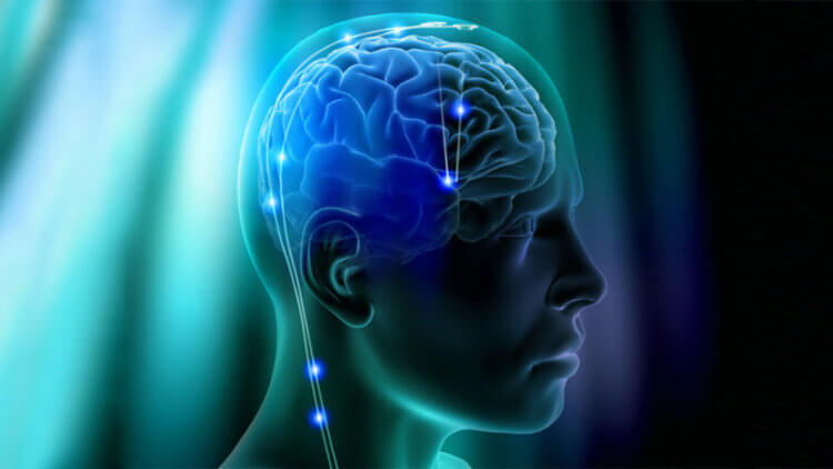 имплантация электродов в мозг помогла ученым. Ученые получили информацию о работе мозга при помощи имплантированных электродов. Фото.