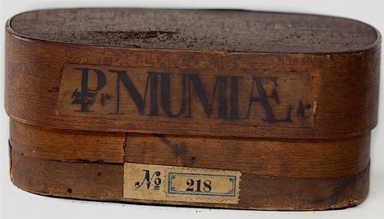 Польза мумий для здоровья — правда или миф? Коробка с измельченной мумией XVIII века. Фото.