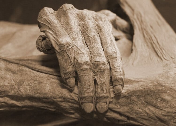 Средневековые люди находили мумий? Когда-то давно люди считали, что мумии обладают целебными свойствами. Фото.