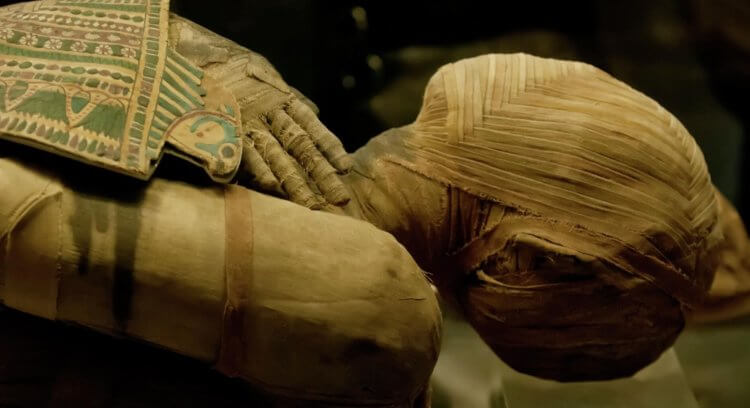 Польза мумий для здоровья — правда или миф? Кто знает, чем болел мумифицированный человек? Фото.