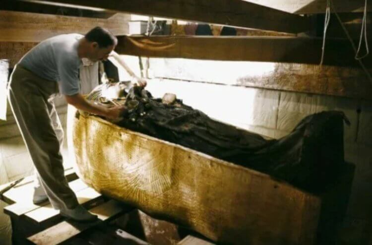 Развертывание мумий как развлечение. Изучение гробницы Тутанхамона. Фото.