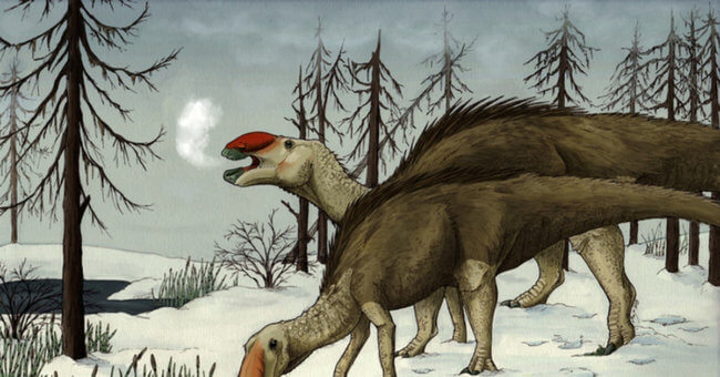 Ученые ошиблись: динозавры были хорошо приспособлены к холоду. Фото.