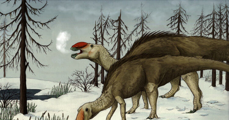 Ученые ошиблись: динозавры были хорошо приспособлены к холоду. Динозавры по мнению ученых были хорошо адаптированы к холоду. Фото.