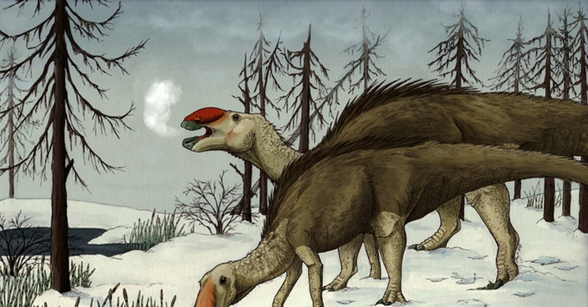 Ученые ошиблись: динозавры были хорошо приспособлены к холоду