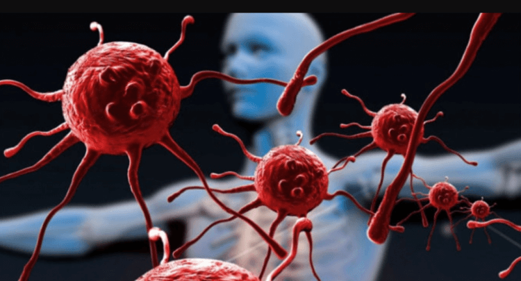Мужчина вылечился от ВИЧ после пересадки стволовых клеток. Ученые, похоже, нашли способ лечения ВИЧ инфицированных. Фото.