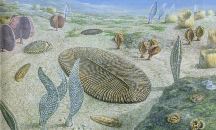 На каких планетах может существовать жизнь? Первые организмы на Земле появились в воде, вот они. Фото.