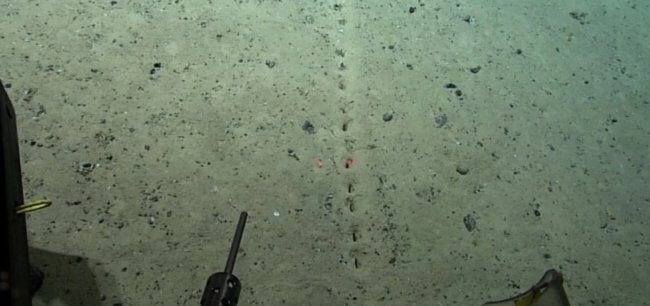 На дне океана найдены загадочные отверстия. Кто их сделал и зачем? Фото.
