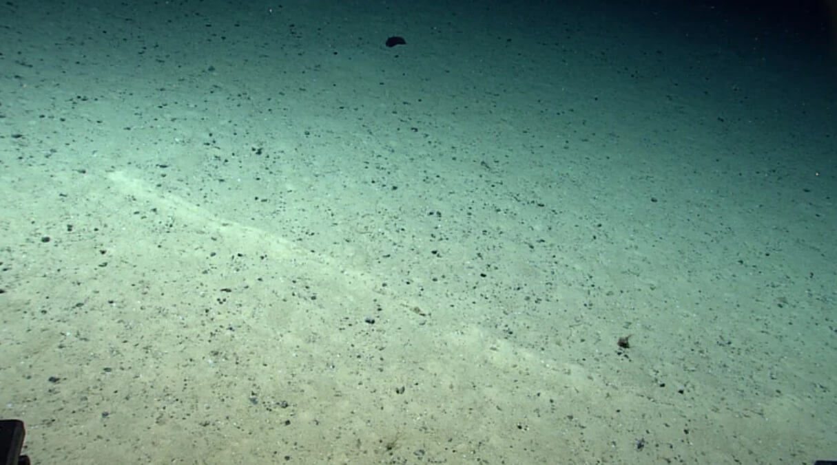 На дне океана найдены загадочные отверстия. Кто их сделал и зачем?