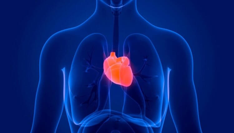 Вред омега-3 кислот. В некоторых случаях омега-3 кислоты могут нарушить работу сердца. Фото.