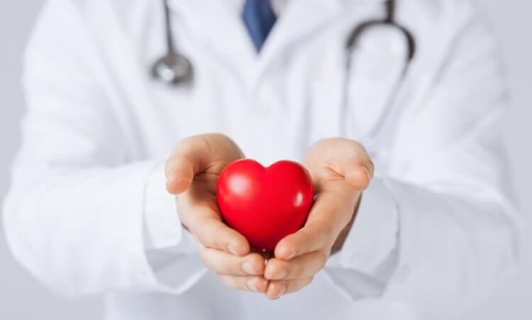 Особенности настоящего и искусственного сердца. При помощи искусственного сердца врачи смогут разрабатывать эффективные способы лечения сердечно-сосудистых заболеваний. Фото.