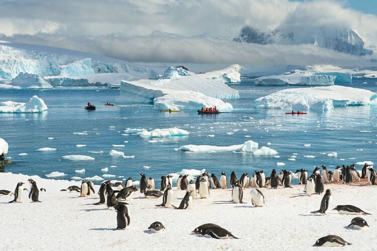 Как токсичные кислоты попали в дождевую воду. Токсичные вещества обнаружили даже в Антарктиде. Фото.