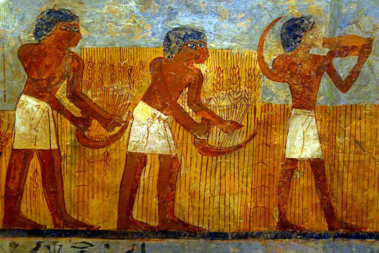 Засуха в прошлом. Засуха в Древнем Египте изменила ход истории страны. Фото.