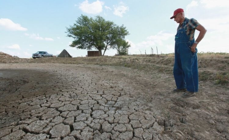 Засуха в США в 2022 году. В США началась сильная засуха, из-за которой страдают все. Фото.