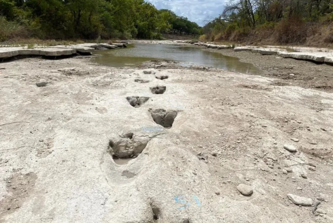 На дне высохшей реки в США найдены следы динозавров возрастом 113 миллионов лет