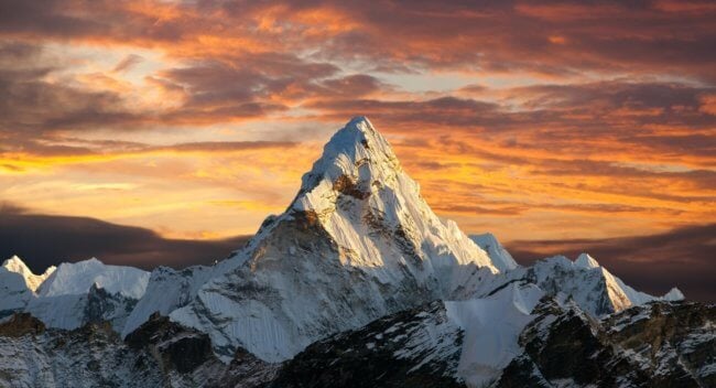 Какие животные обитают на Эвересте — самой высокой точке Земли. Фото.