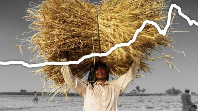Чем грозит миру продовольственный кризис? Фото.