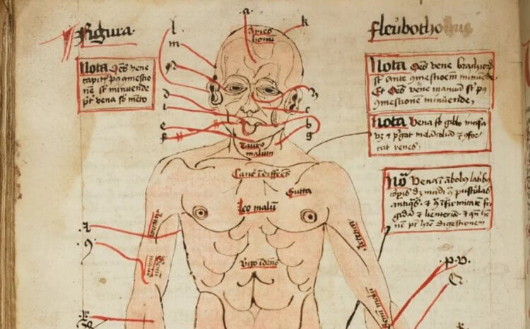 Какими были средневековые лекарства. Рисунок в средневековой книге. Фото.