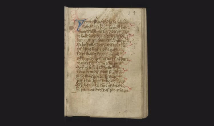 Какими были средневековые лекарства. Ученые намерены оцифровать старые рукописи, чтобы их мог почитать каждый. Фото.
