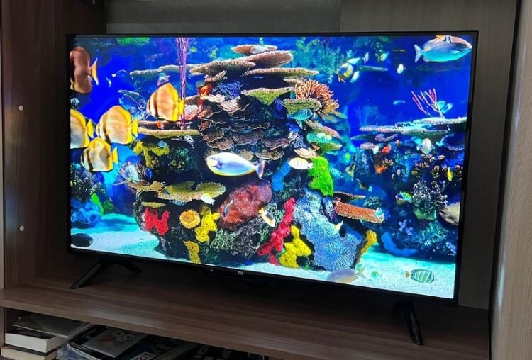 Какой телевизор купить в 2022 43 дюйма. Xiaomi имеет самый яркий экран и удобную прошивку. Фото.