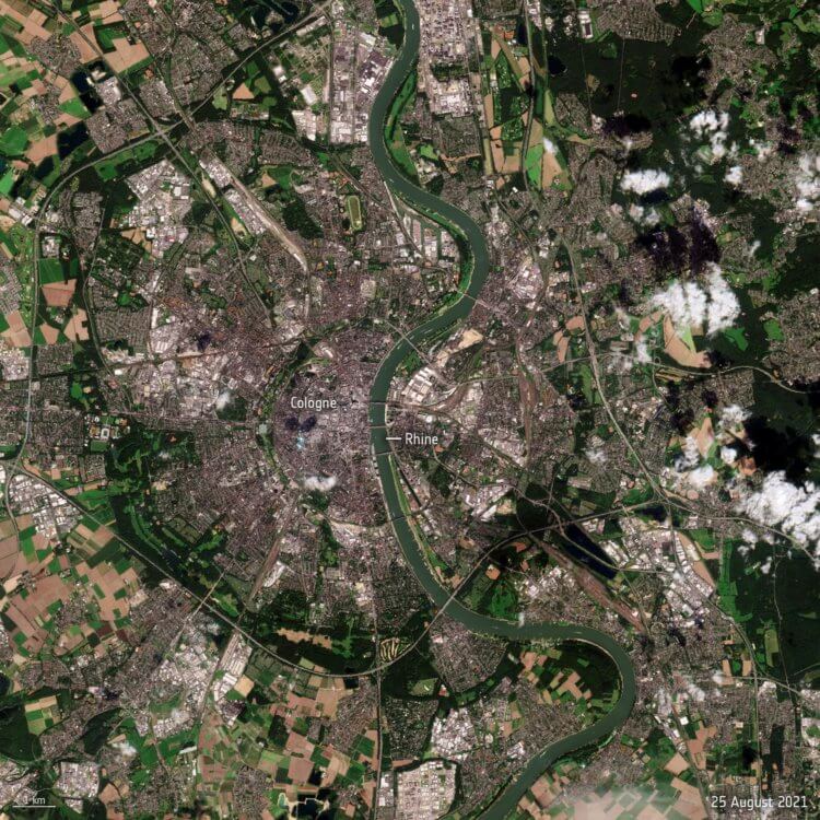 Высыхание европейской реки Рейн. Река Рейн в августе 2021 года. Фото.