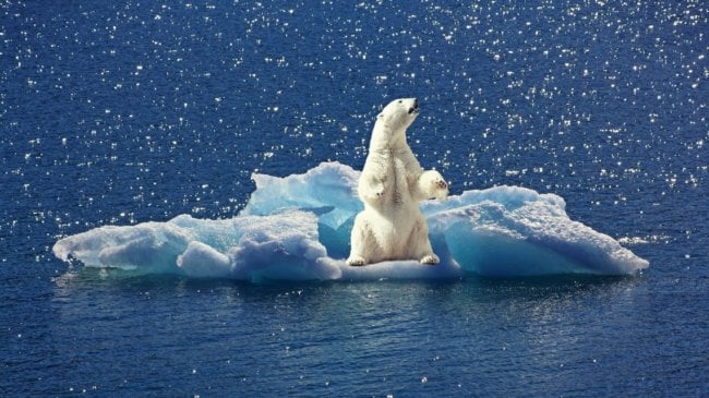 Не все потеряно — Арктику можно быстро охладить. Фото.